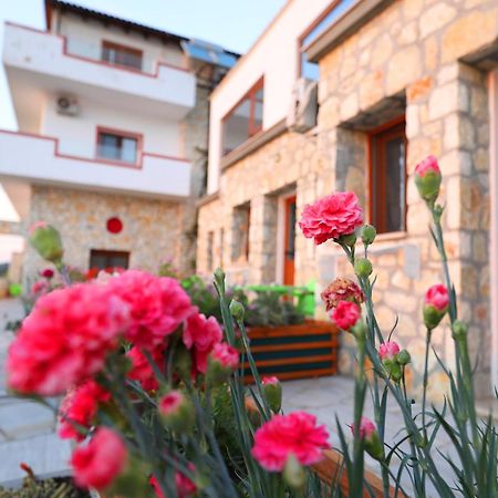 Vila Dena Vlore Exterior photo