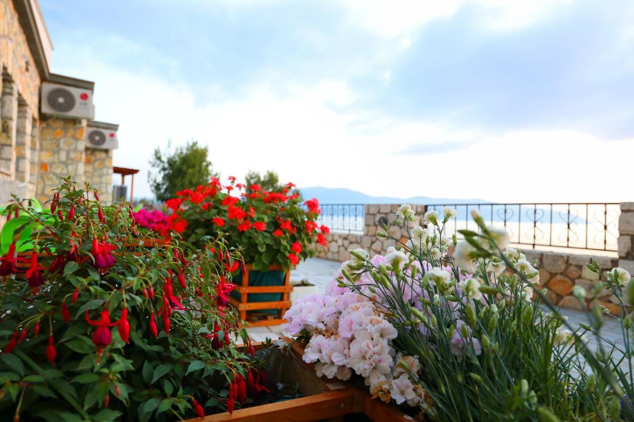 Vila Dena Vlore Exterior photo